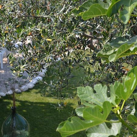 Giardinotto Casa Vacanze Altino  Dış mekan fotoğraf